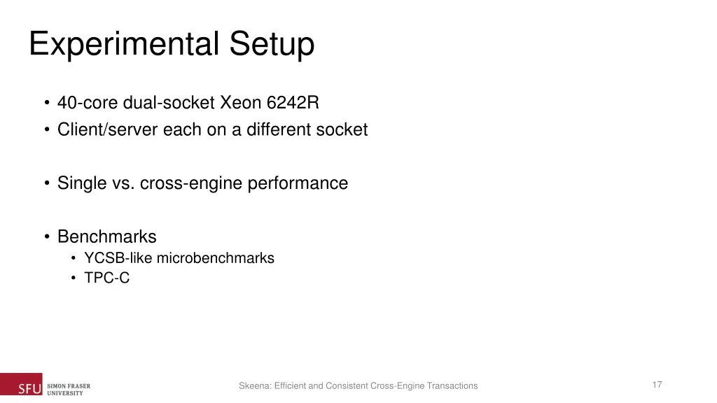 experimental setup