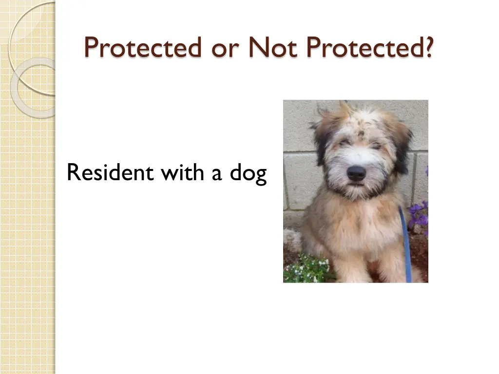 protected or not protected