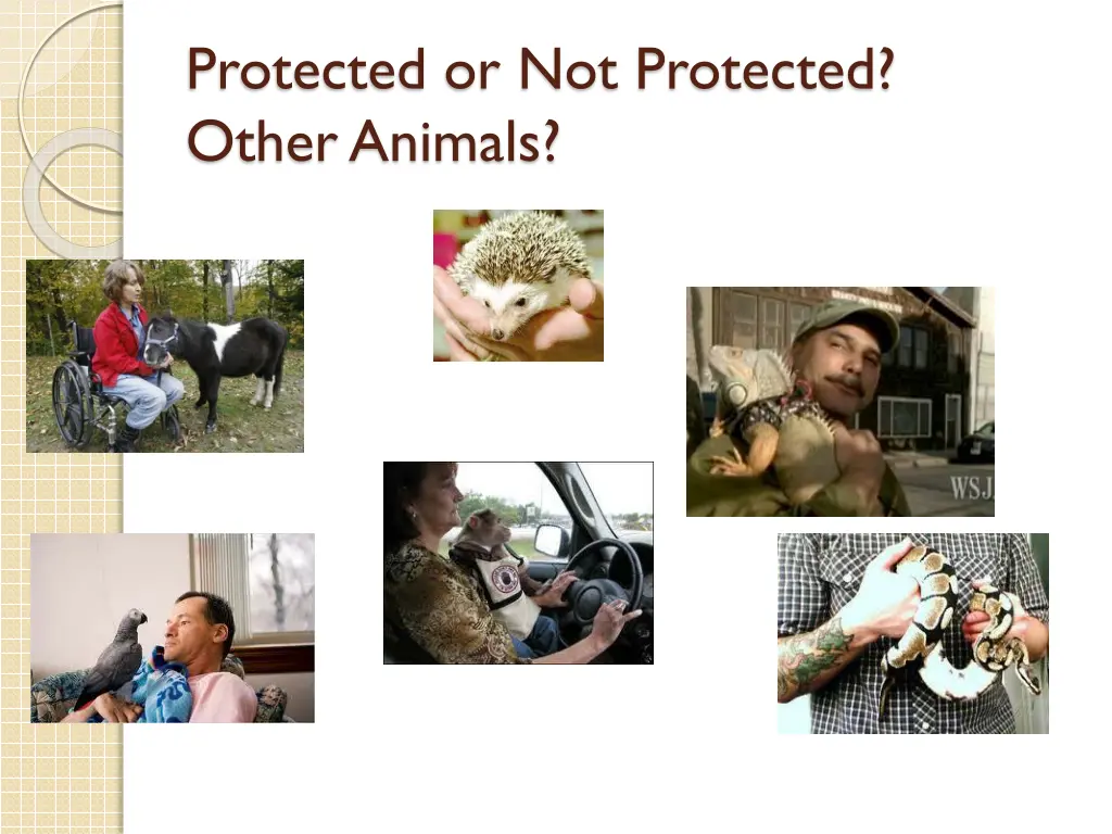 protected or not protected other animals