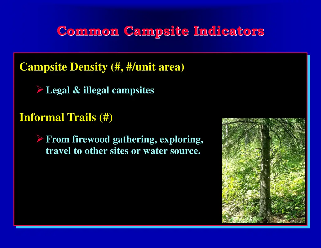 common campsite indicators