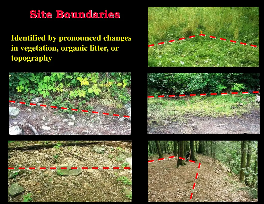 site boundaries 1