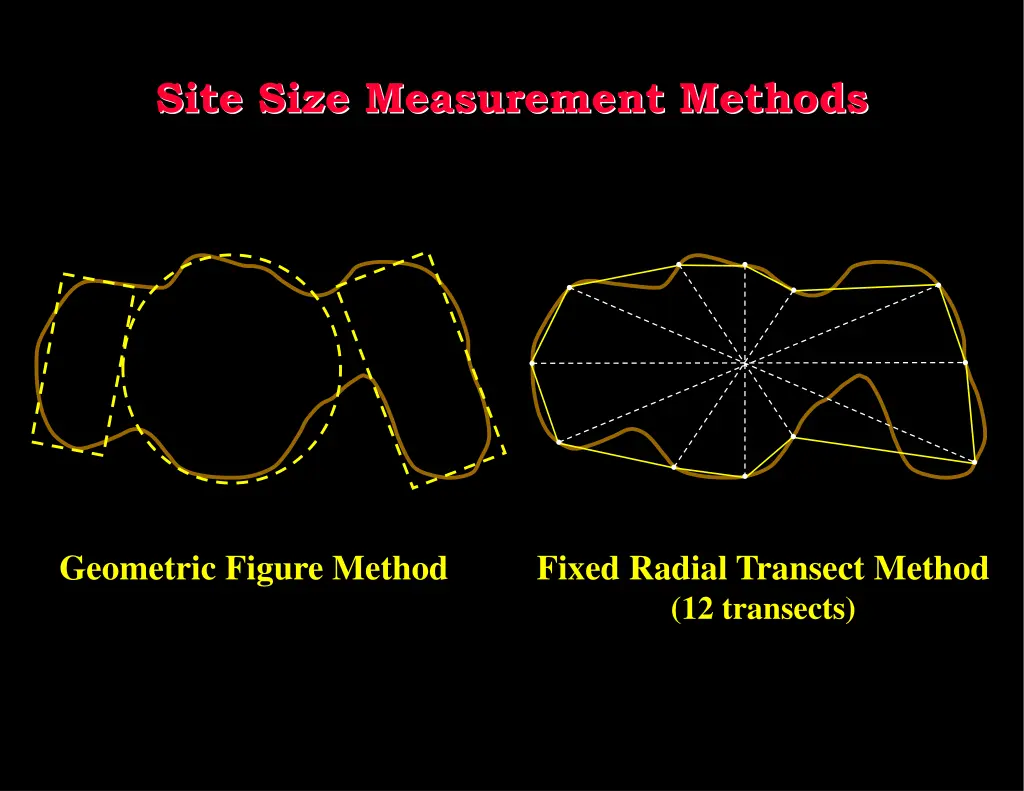 site size measurement methods