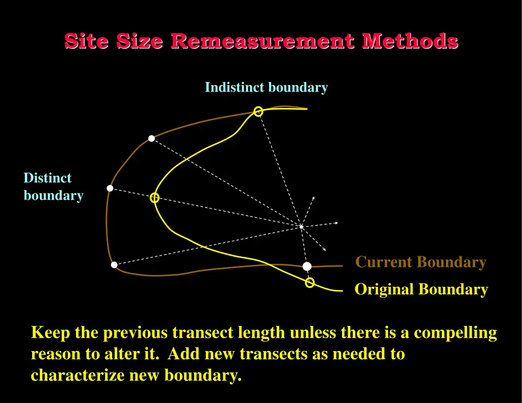 site size remeasurement methods