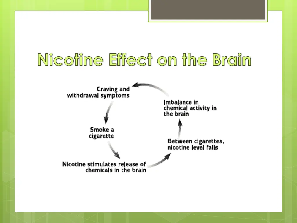 nicotine effect on the brain