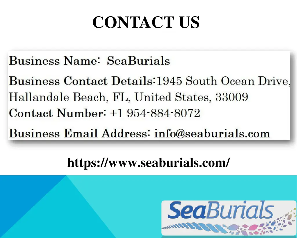 contact us