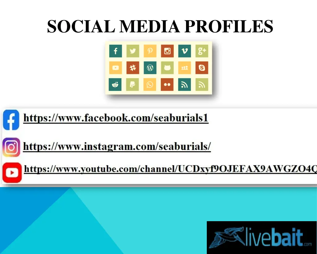 social media profiles