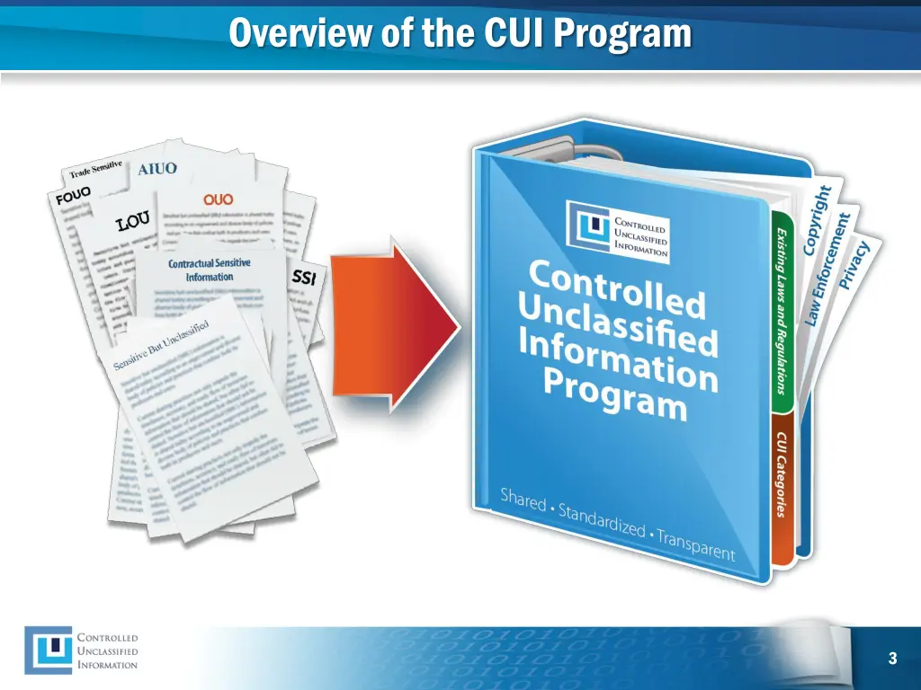 overview of the cui program