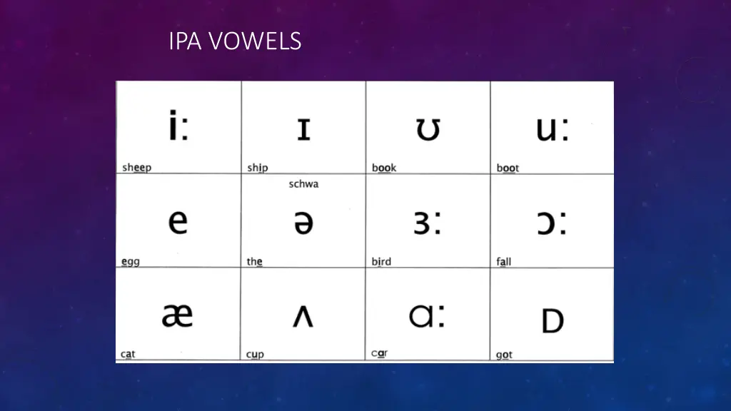 ipa vowels