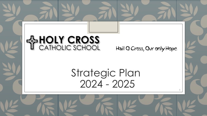 strategic plan 2024 2025