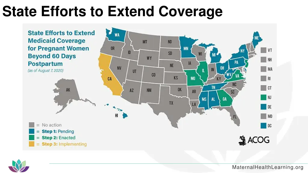 state efforts to extend coverage