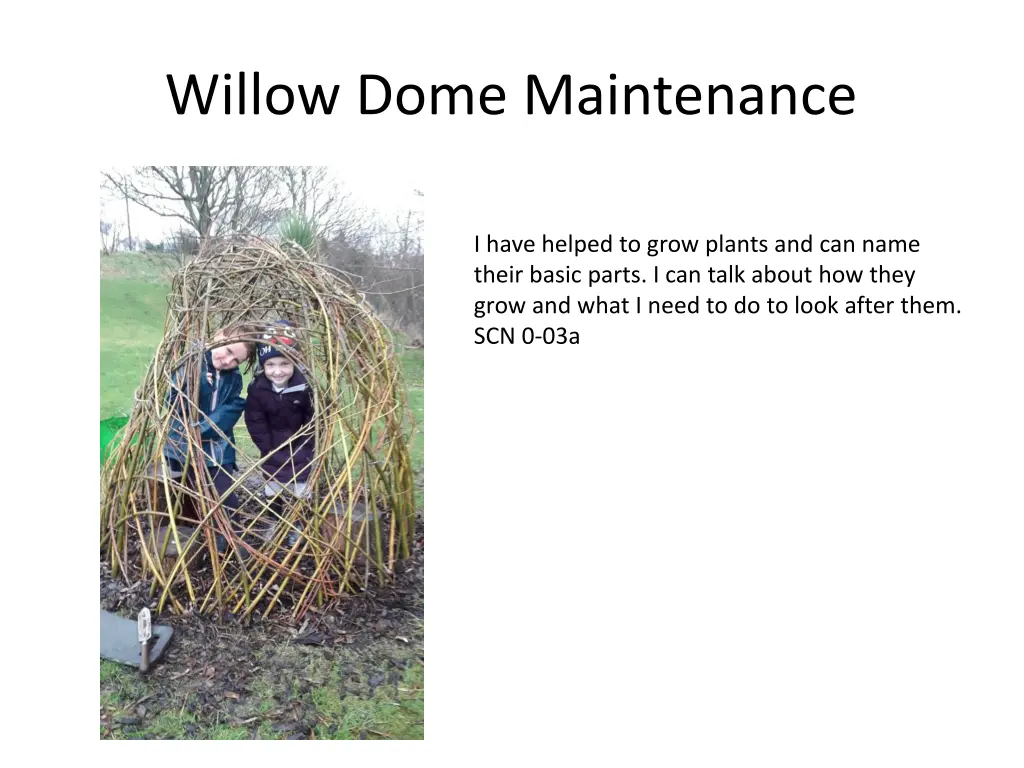 willow dome maintenance