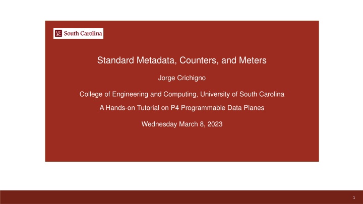 standard metadata counters and meters