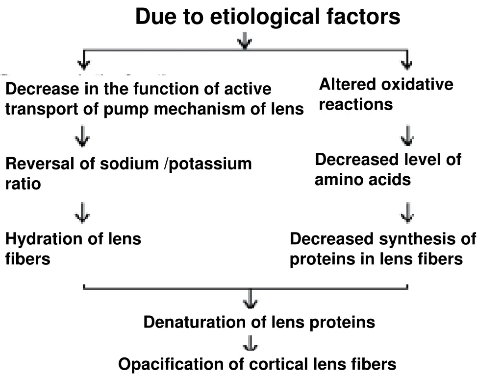 due to etiological factors