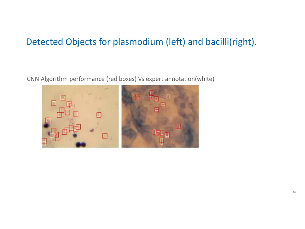 detected objects for plasmodium left and bacilli