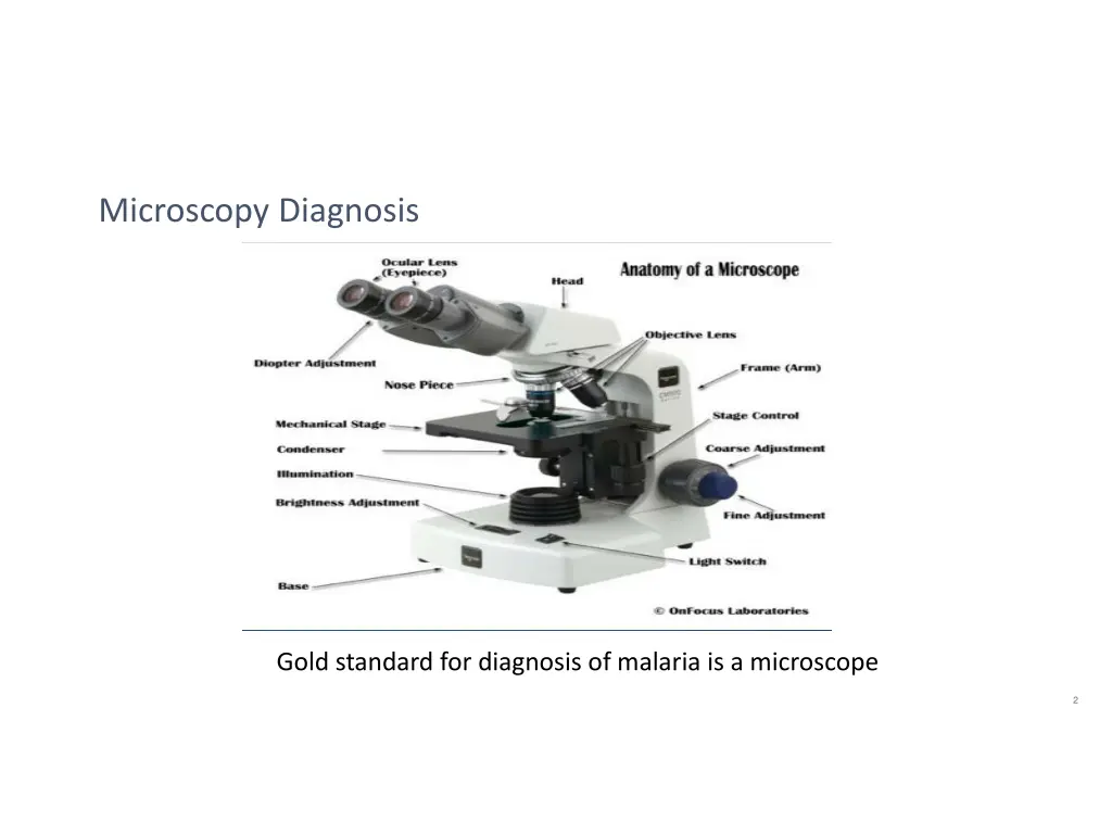 microscopy diagnosis