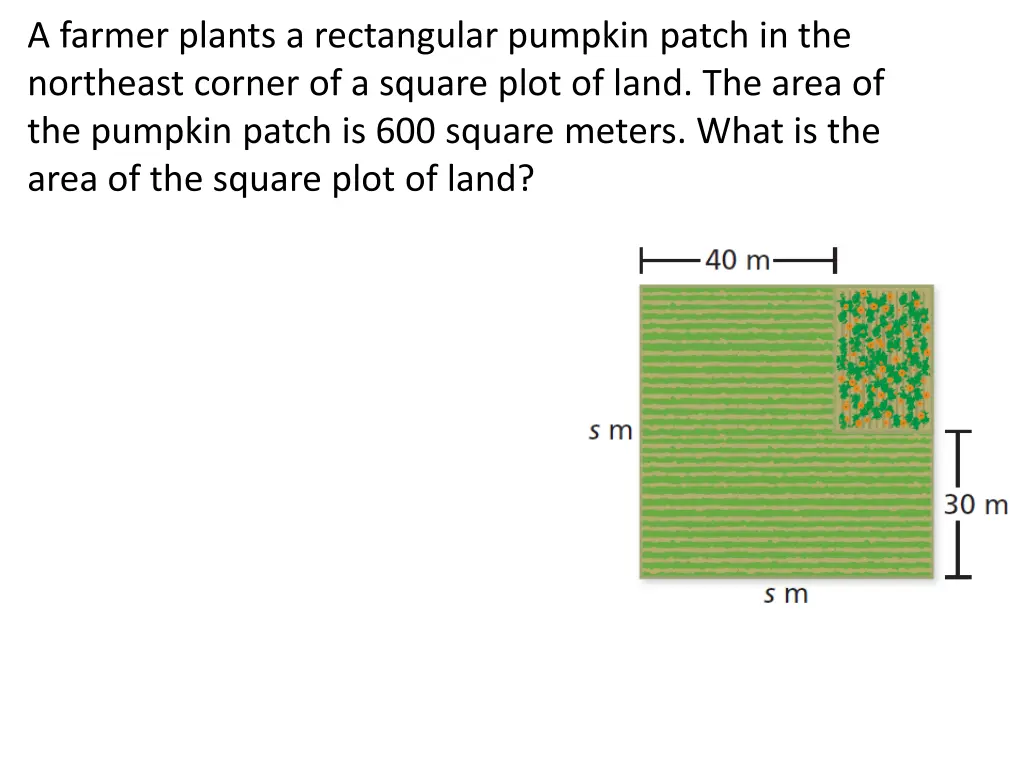 a farmer plants a rectangular pumpkin patch