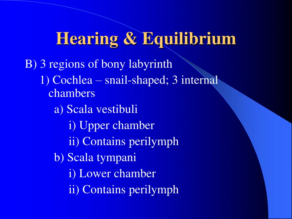 hearing equilibrium 4