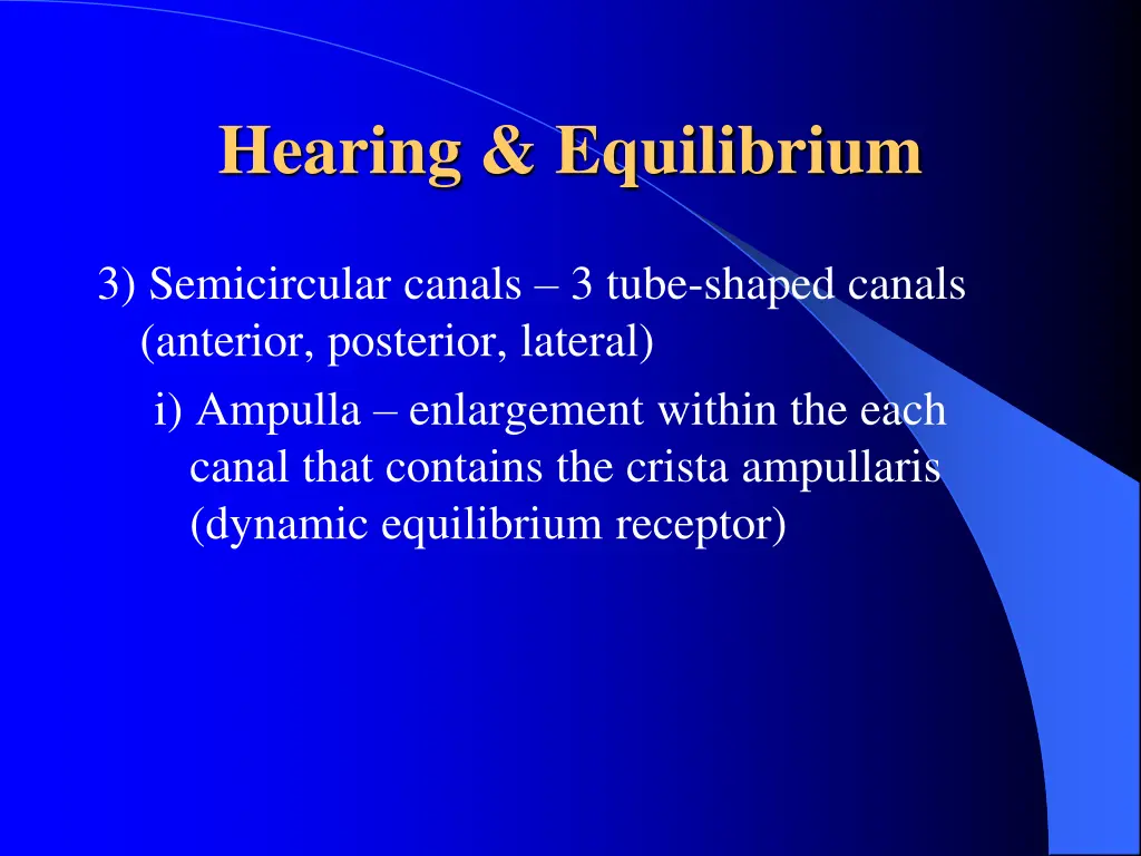 hearing equilibrium 7