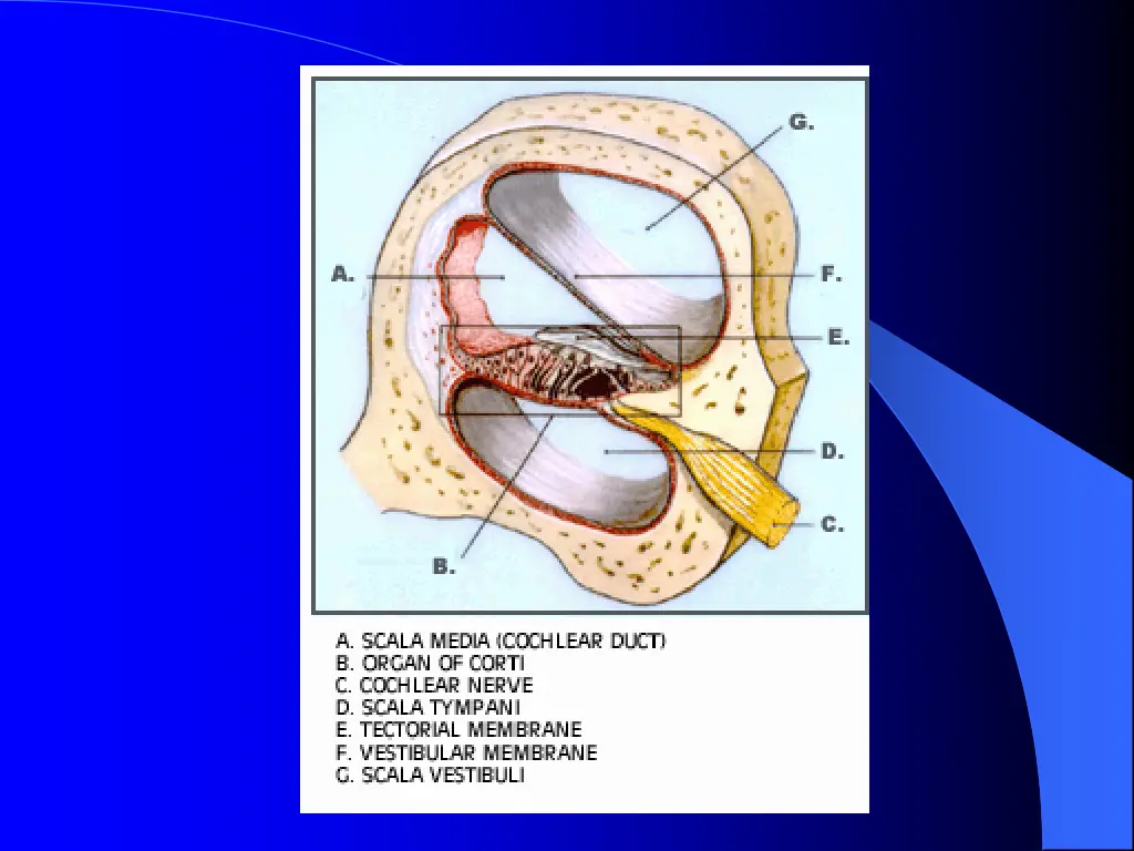 slide34