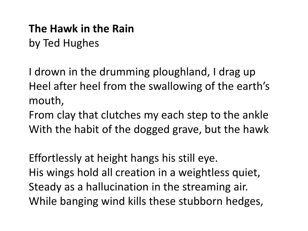 the hawk in the rain by ted hughes