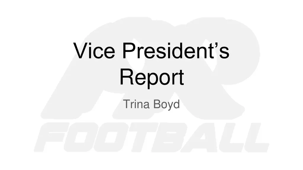 vice president s report