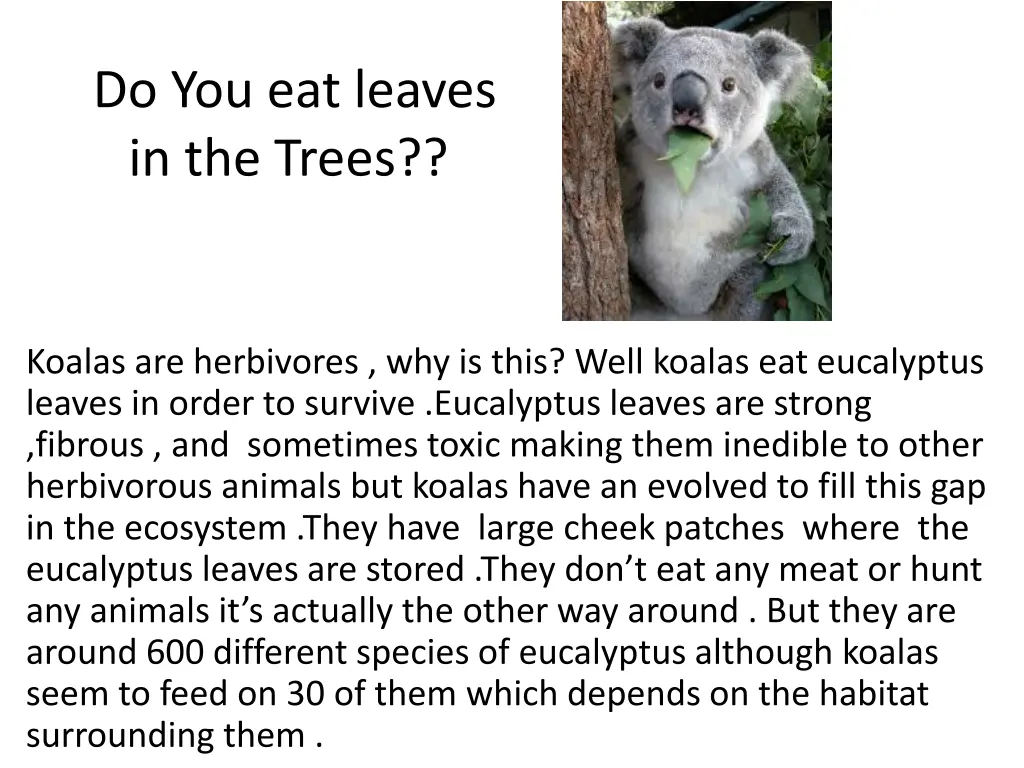 do you eat leaves in the trees