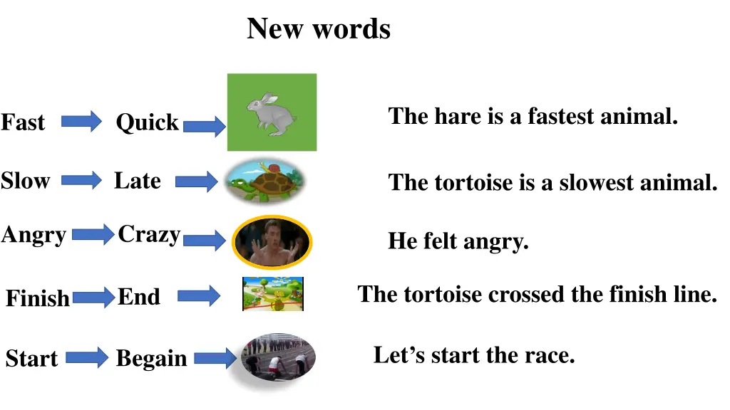 new words