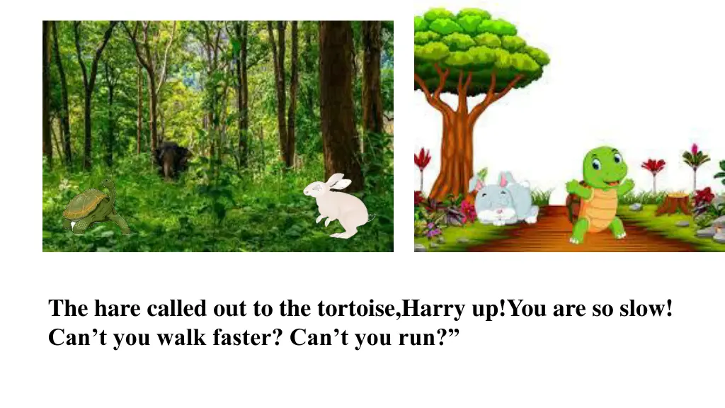 the hare called out to the tortoise harry