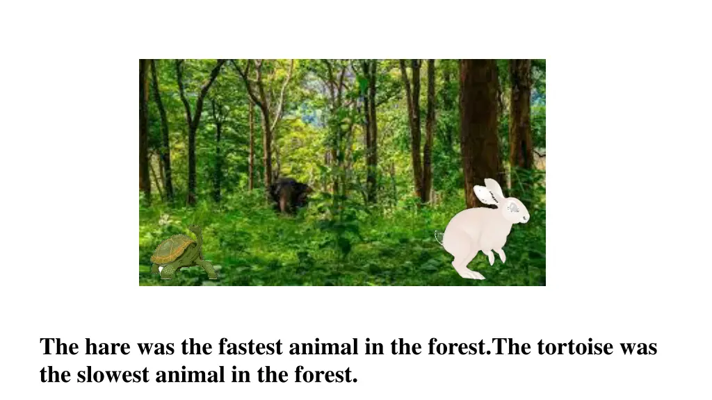 the hare was the fastest animal in the forest