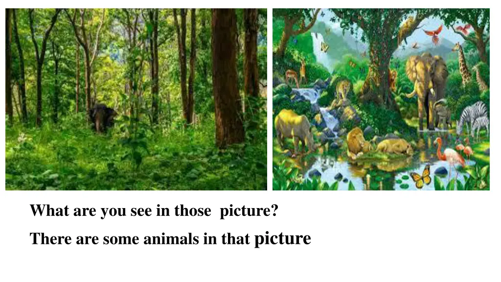 what are you see in those picture there are some