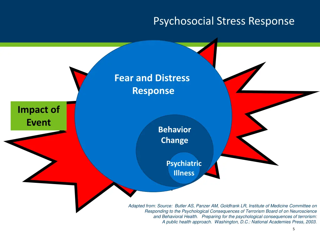 psychosocial stress response