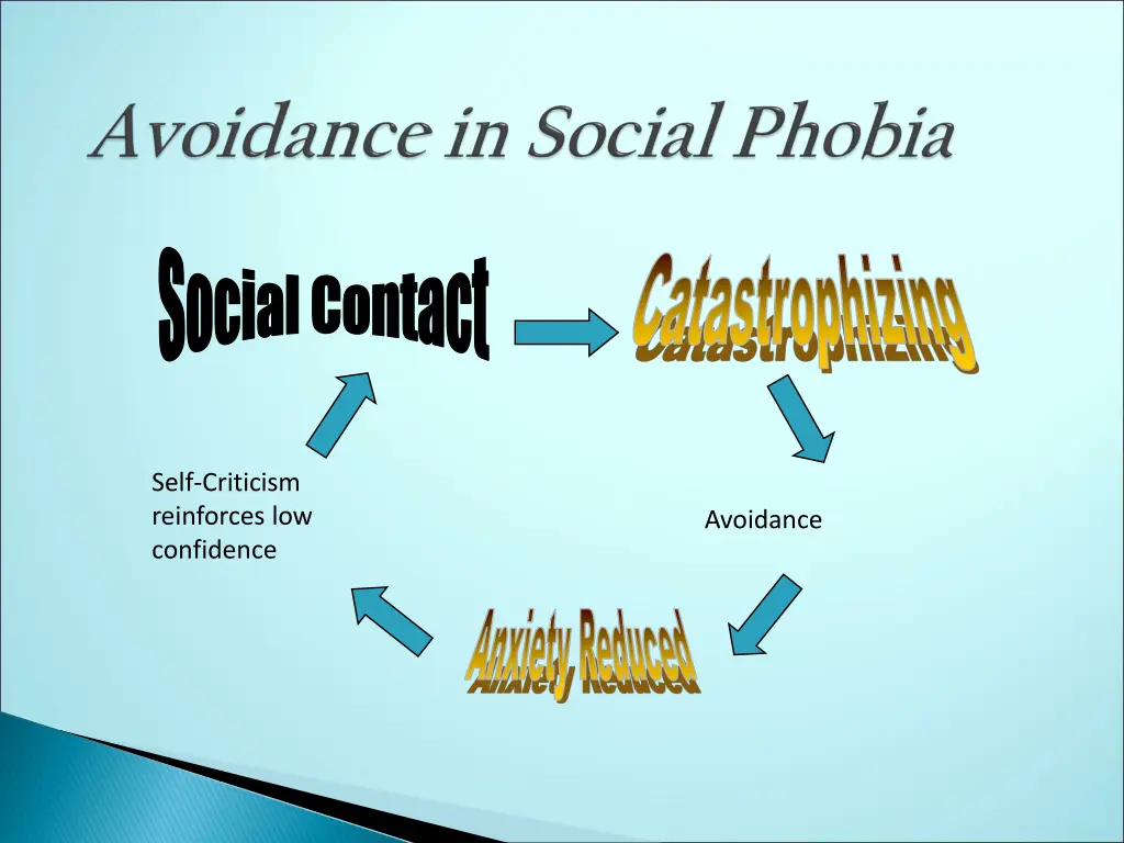 social contact