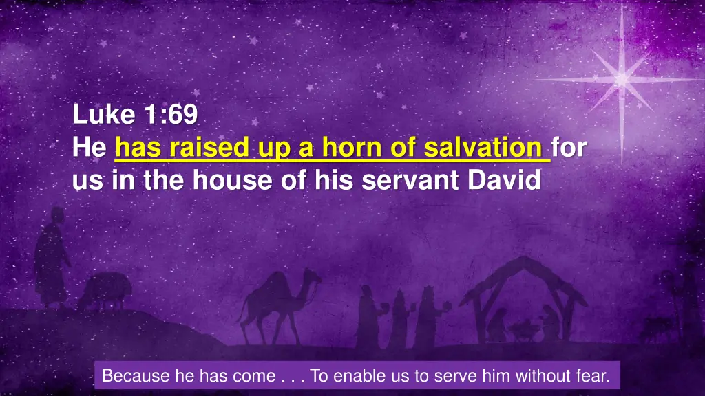 luke 1 69 he has raised up a horn of salvation