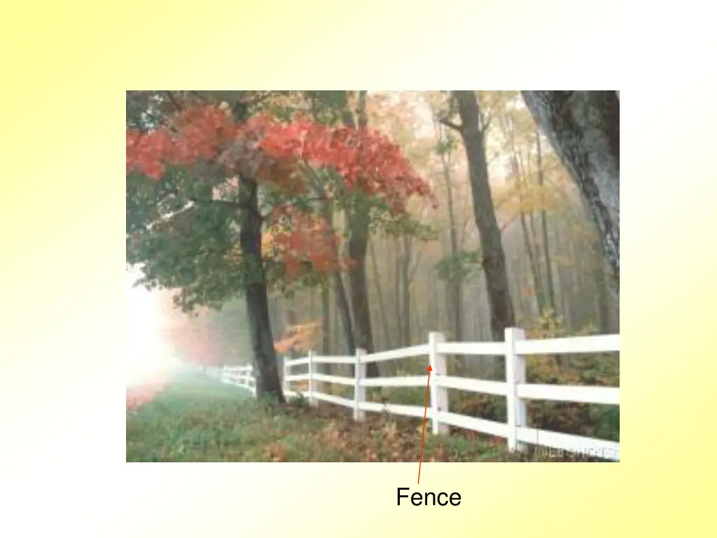 fence