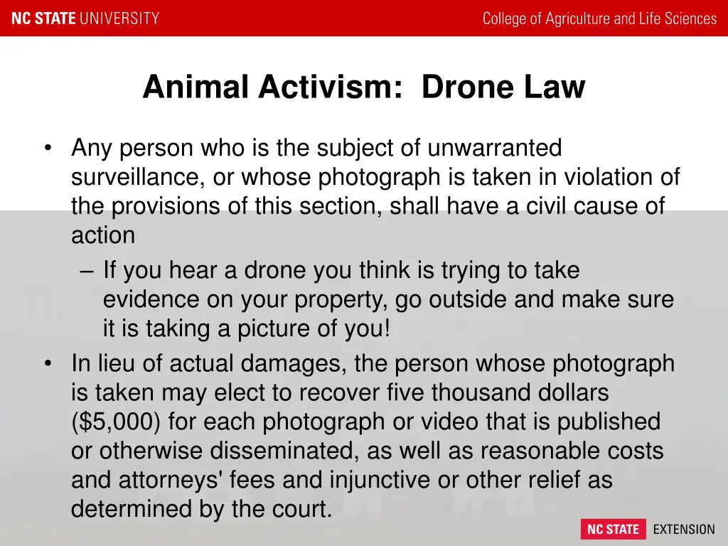 animal activism drone law