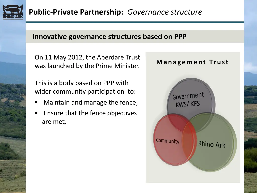 public private partnership governance structure 1