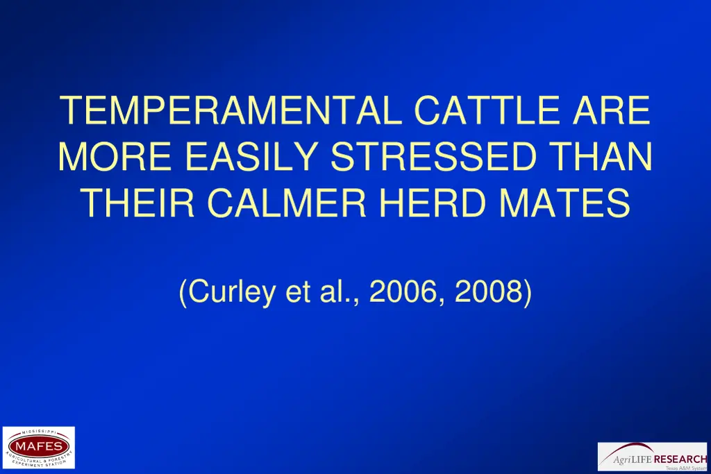 temperamental cattle are more easily stressed