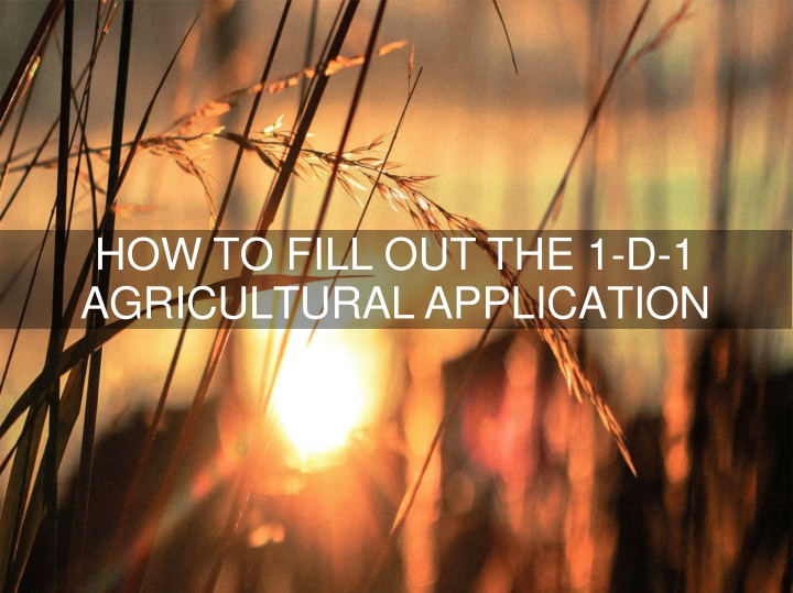 how to fill out the 1 d 1 agricultural application