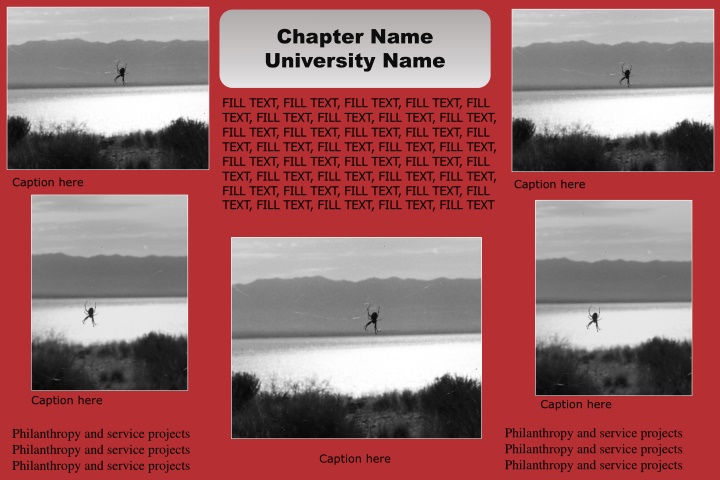 chapter name university name