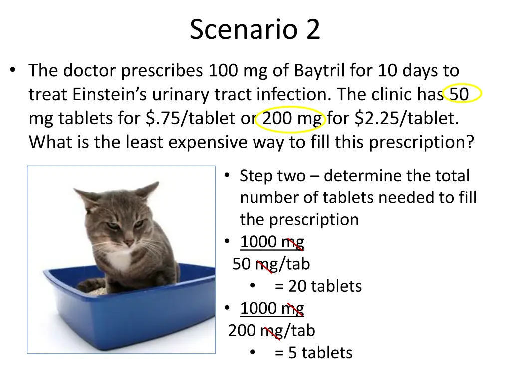 scenario 2 1