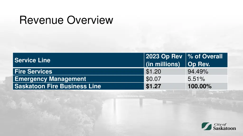 revenue overview 1