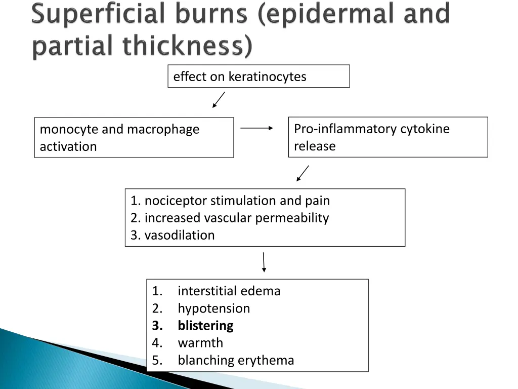 effect on keratinocytes