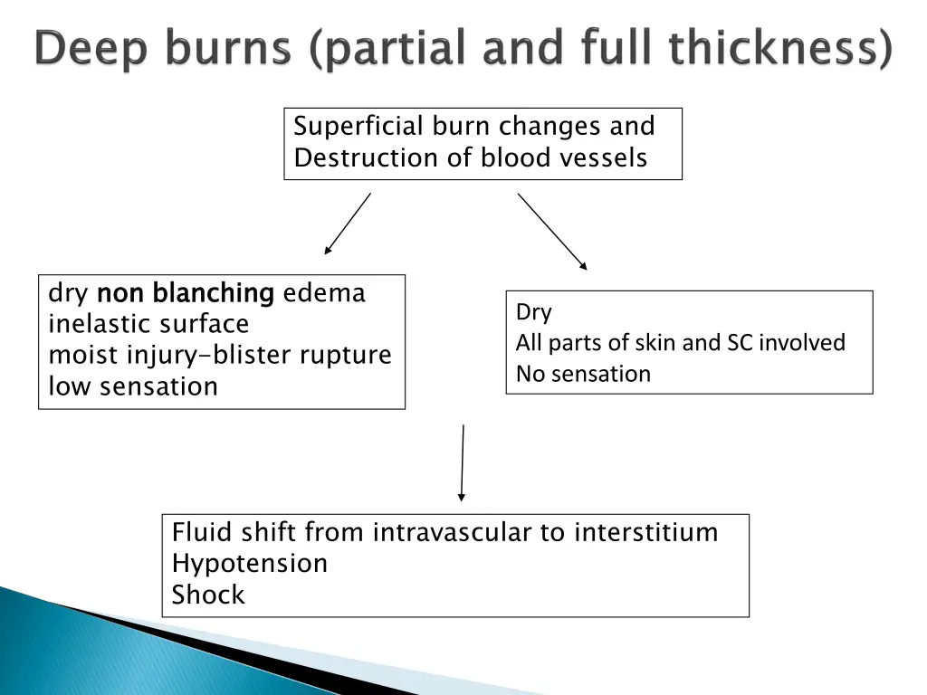 superficial burn changes and destruction of blood