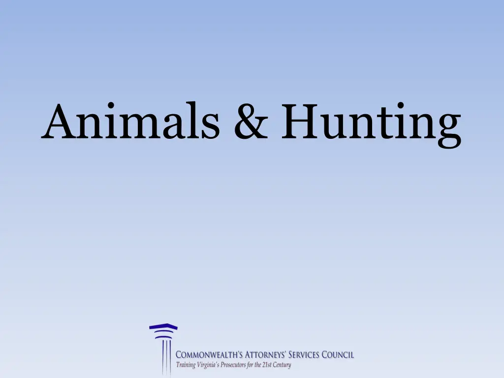 animals hunting