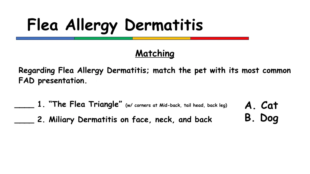 flea allergy dermatitis 1