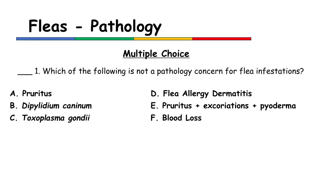 fleas pathology