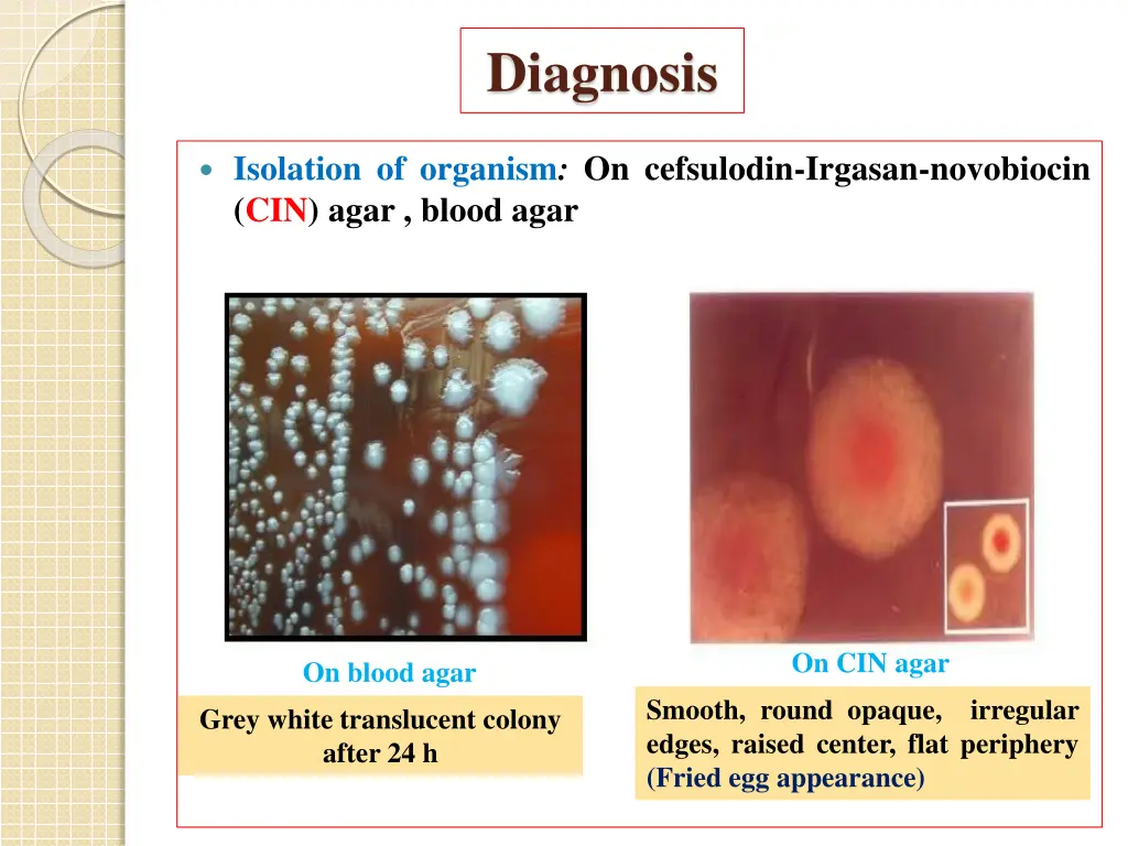 diagnosis 1