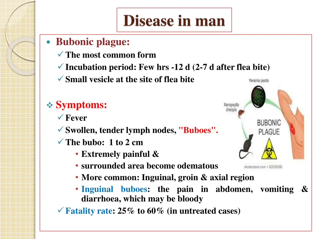 disease in man 1