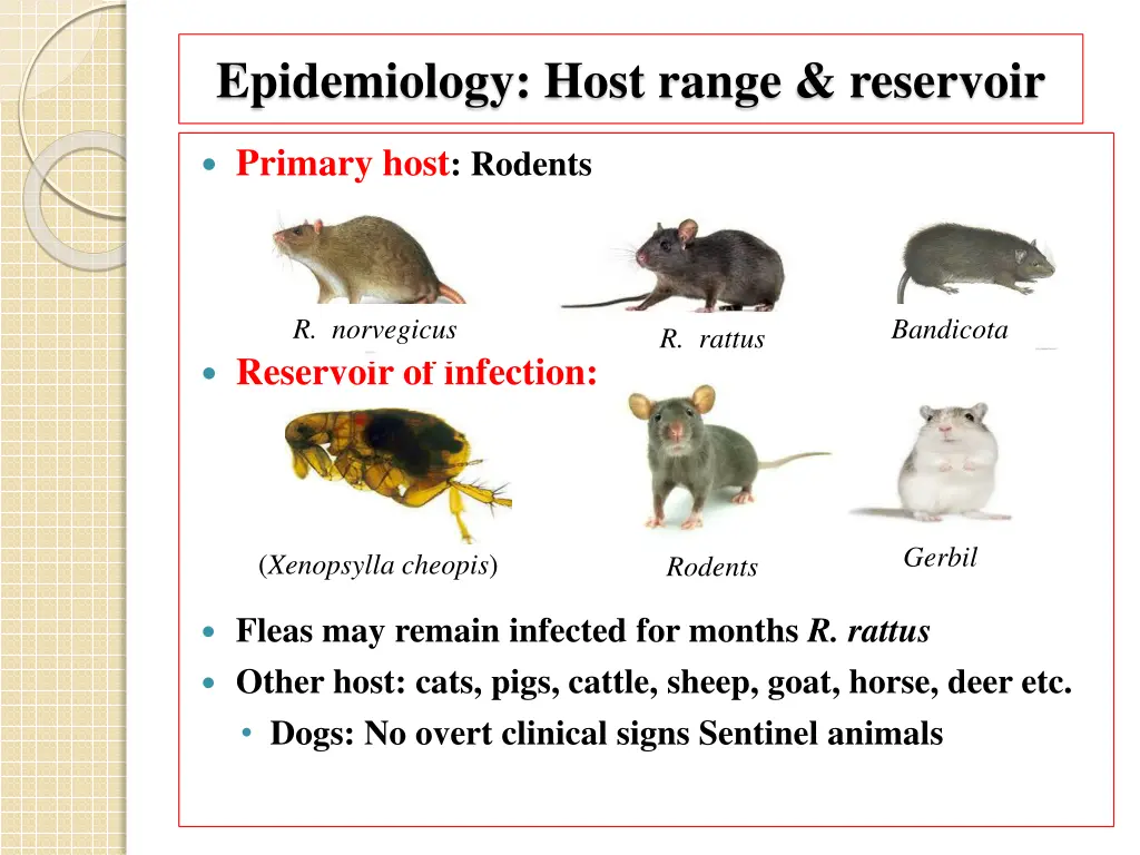 epidemiology host range reservoir