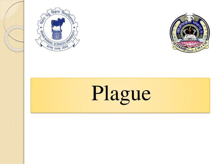 plague